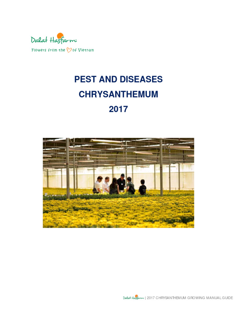 CHRYSANTHEMUM GROWING MANUAL (PEST AND DISEASES) - Sent | PDF | Plants