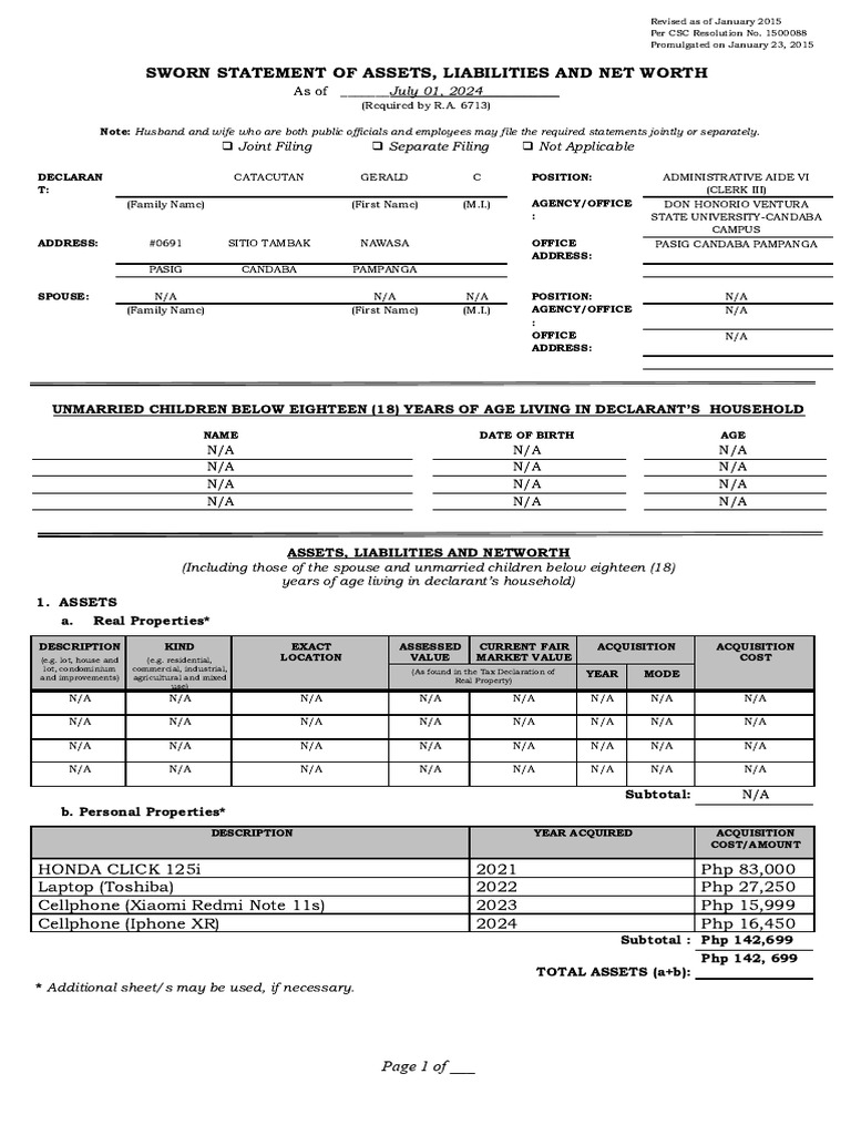 2015 saln form pdf net worth