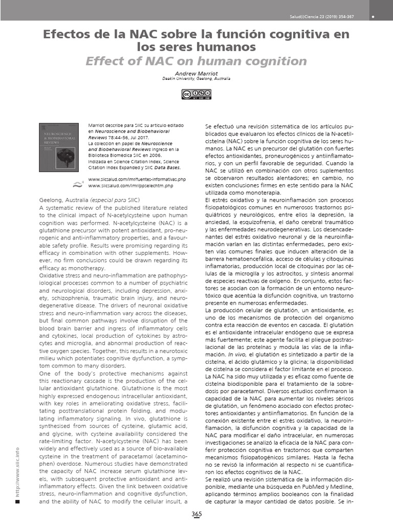 Efectos de La NAC Sobre La Función Cognitiva en | PDF | Estrés ...