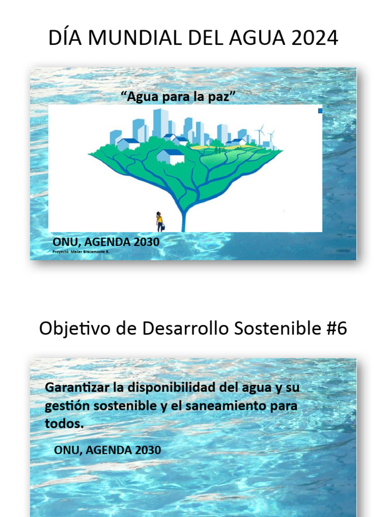 Día Mundial Del Agua 2024 | PDF | Agua | Saneamiento