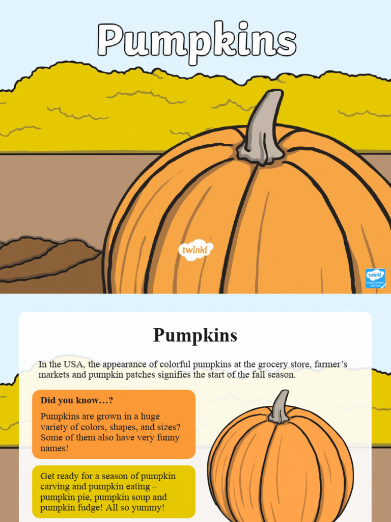 Unique Pumpkin Varieties Guide | PDF | Pumpkin | Cuisine