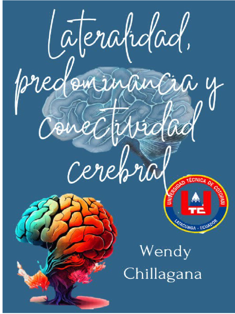 Lateralidad predominancia y conectividad cerebral pdf hemisferio