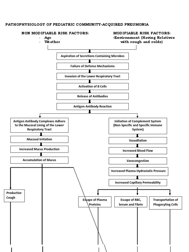 Pathophysiology of Pediatric CAP | PDF | Science & Mathematics
