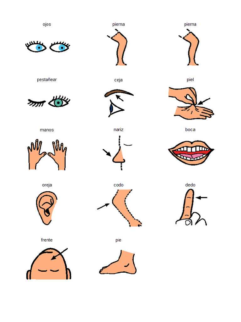 Pictogramas Partes Del Cuerpo | PDF