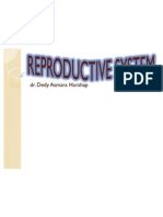 Reproductive System