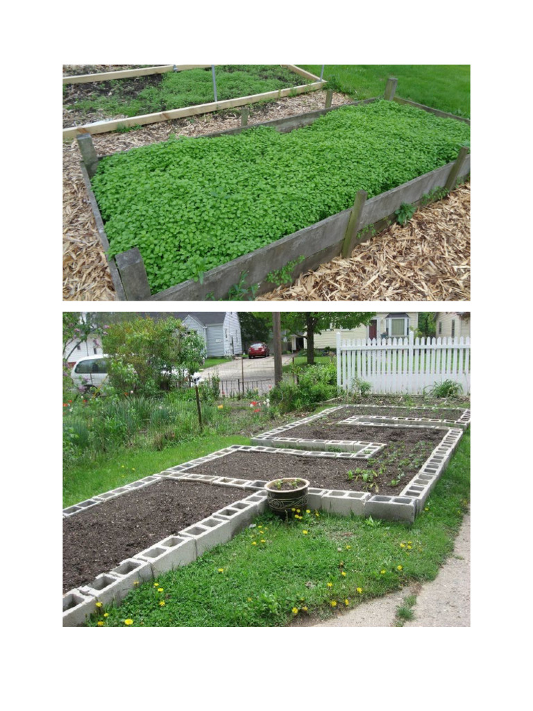 Seed Bed | PDF