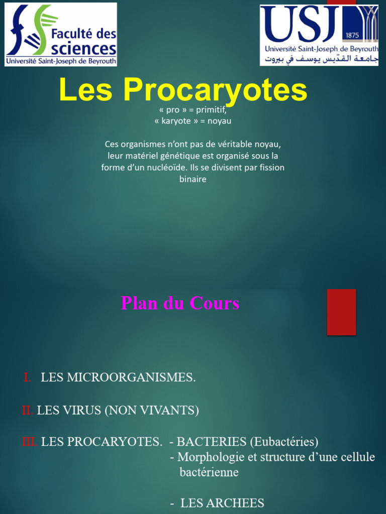 Classification et caractéristiques des procaryotes | PDF | Bactérie ...
