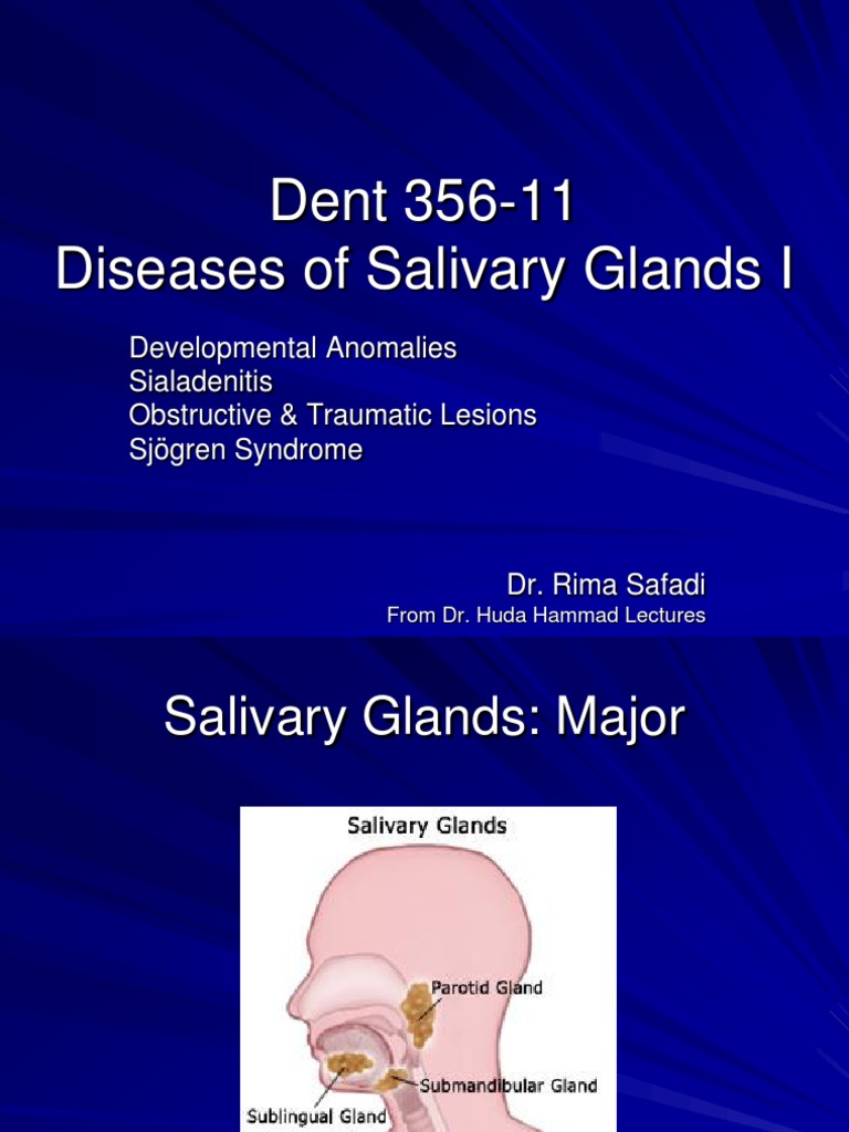 Slide 14 Diseases of Salivary Glands I | PDF | Anatomy | Immunology