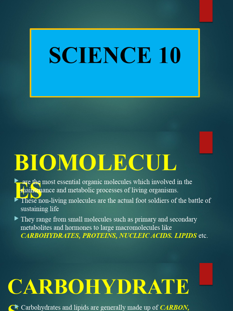 Biomolecules Carbohydrates | PDF | Carbohydrates | Glucose