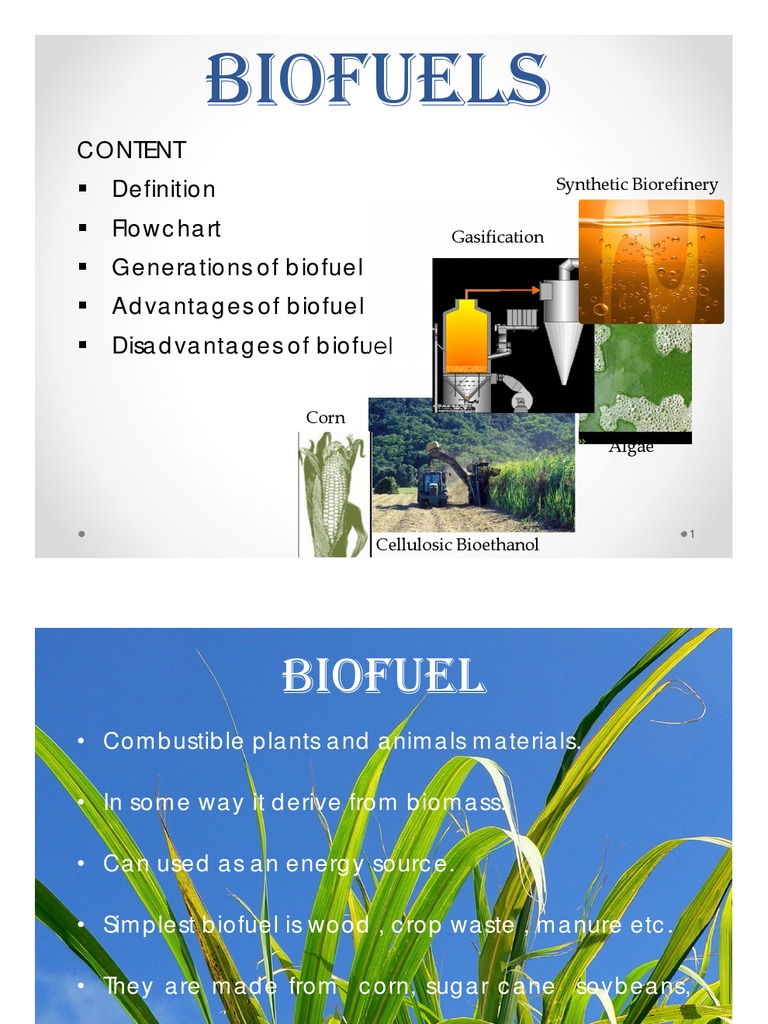 Overview of Biofuels: Types and Impact | PDF | Biofuel | Algae Fuel