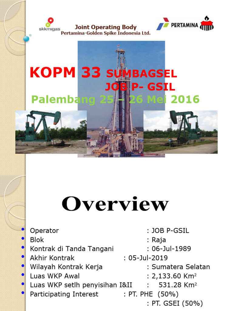 Pertamina-Golden Spike Indonesia Overview | PDF