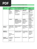 STEAM FERIA 1 GRADO)