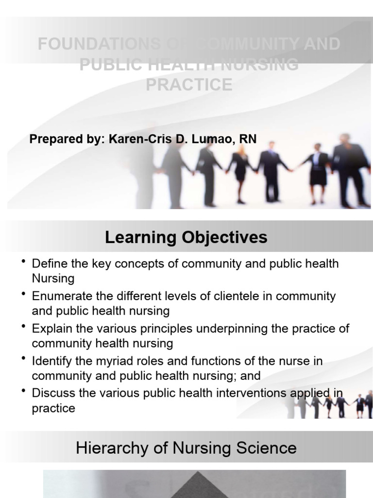 Foundations of Community and Public Health Nursing Practice | PDF ...