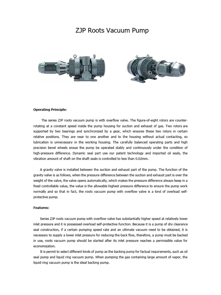 ZJP Roots Vacuum Pump Overview | PDF | Pump | Valve