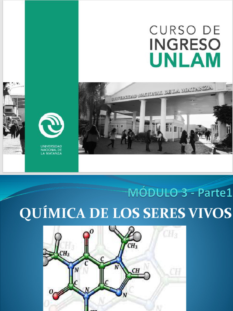 Power MODULO 3 Parte 1 Quimica de Los Seres Vivos | PDF | Química ...