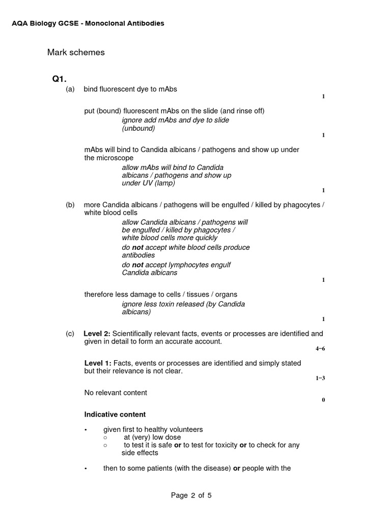 3.2 Monoclonal Antibodies MS | PDF | Monoclonal Antibody | Antibody