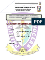 Morfologia y Estructura Bacteriana