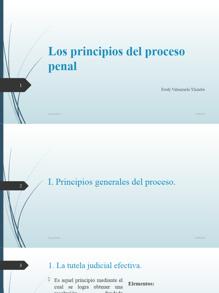 FVY - Los Principios Del Proceso Penal | PDF | Debido al proceso | Ley ...