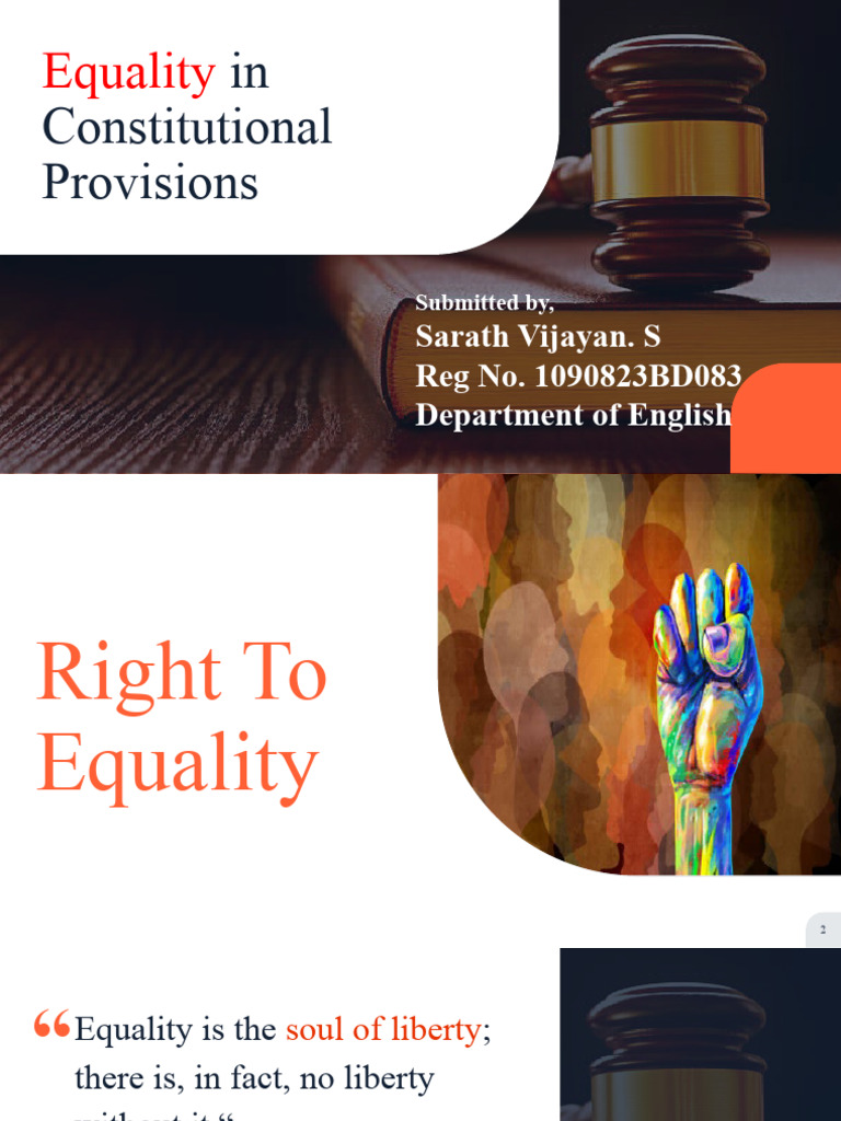 Understanding Equality in Constitutional Law | PDF | Social Equality ...