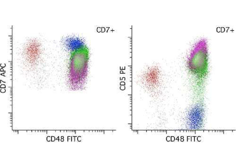 CD7 | PDF
