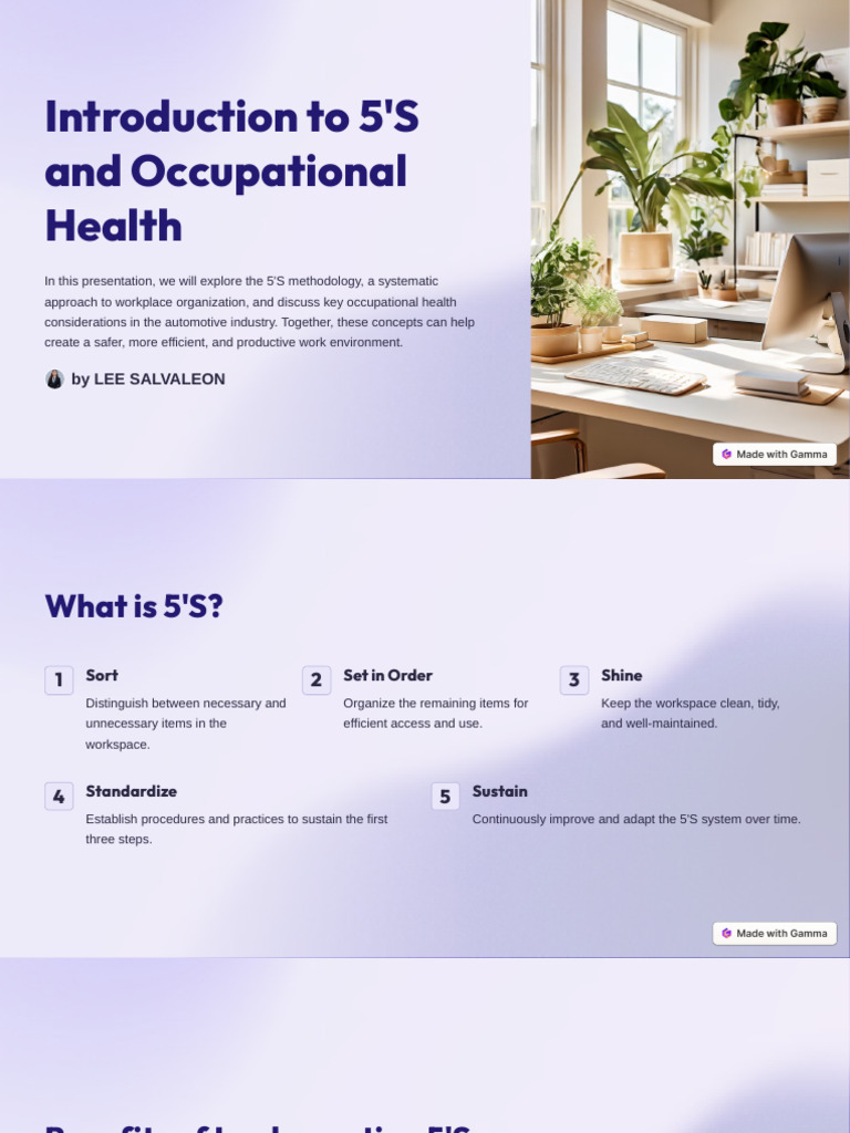 Automotive Industry 5'S Guide | PDF | Occupational Safety And Health ...