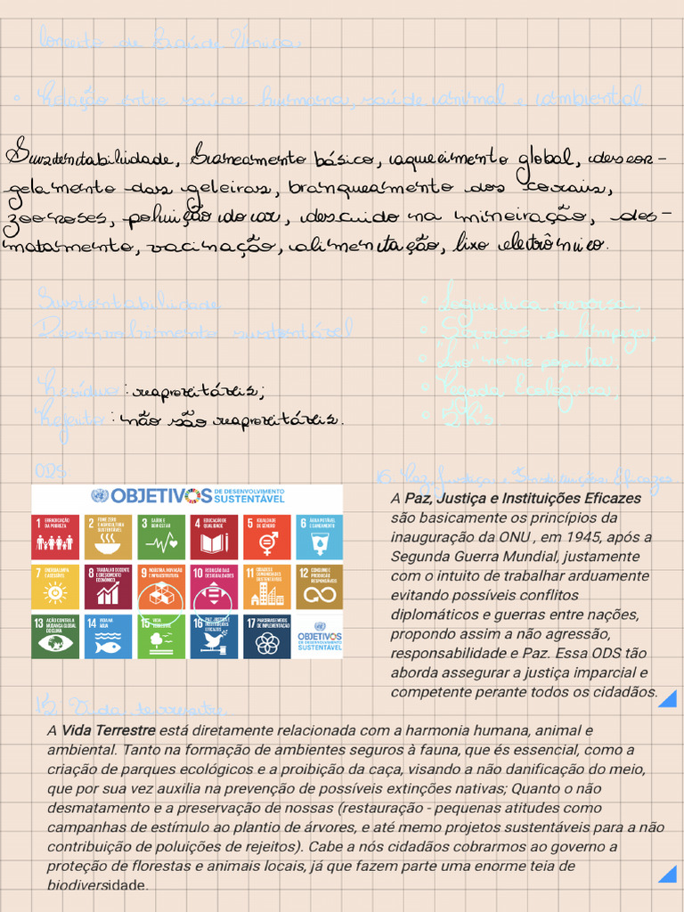Conceito de Saúde Única (One Health) | PDF