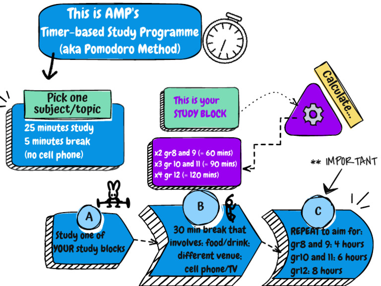 Study Programme | PDF