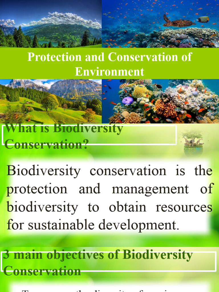 Protection and Conservation | PDF | Conservation Biology | Biodiversity