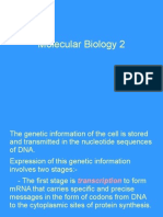 Molecular Biology 2