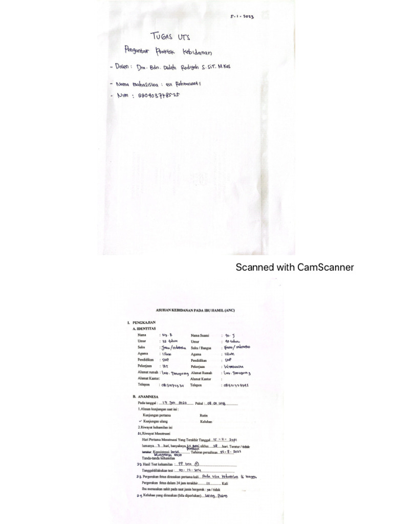 Evi Rohmawati D1 Pdf