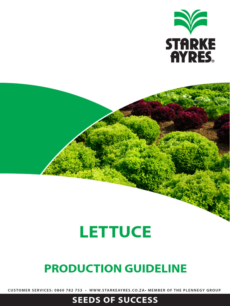Lettuce Production Guidelines | PDF | Lettuce | Fertilizer