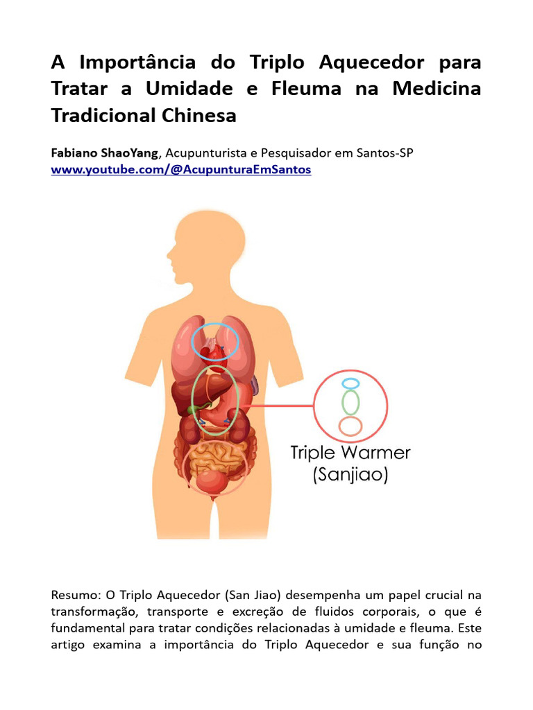 Triplo Aquecedor: Umidade e Fleuma na MTC | PDF | Corpo humano ...