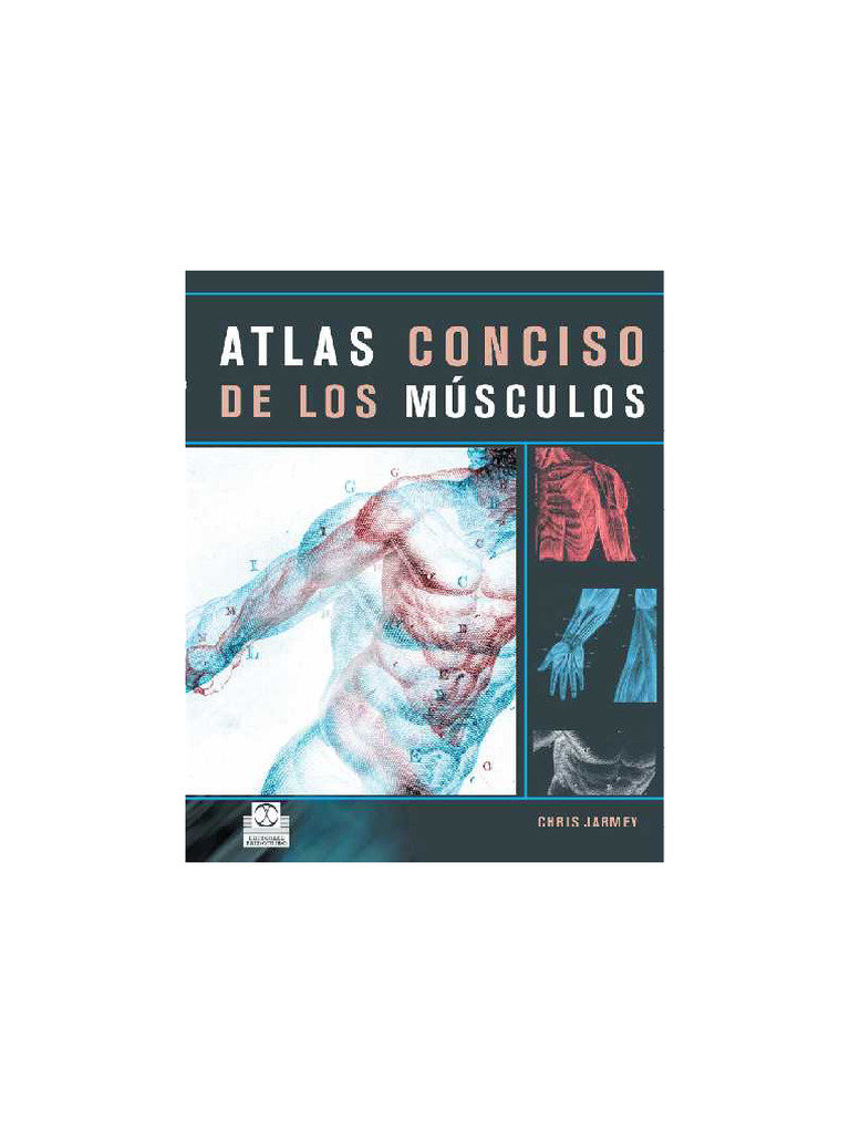 Atlas Musculos Comprimido | PDF
