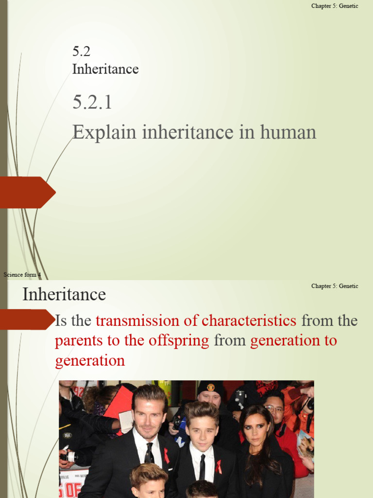 5.2 Inheritance | PDF | Zygosity | Dominance (Genetics)