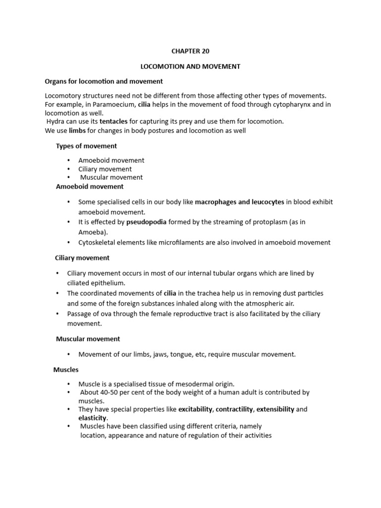 Understanding Locomotion and Muscle Structure | PDF | Muscle ...