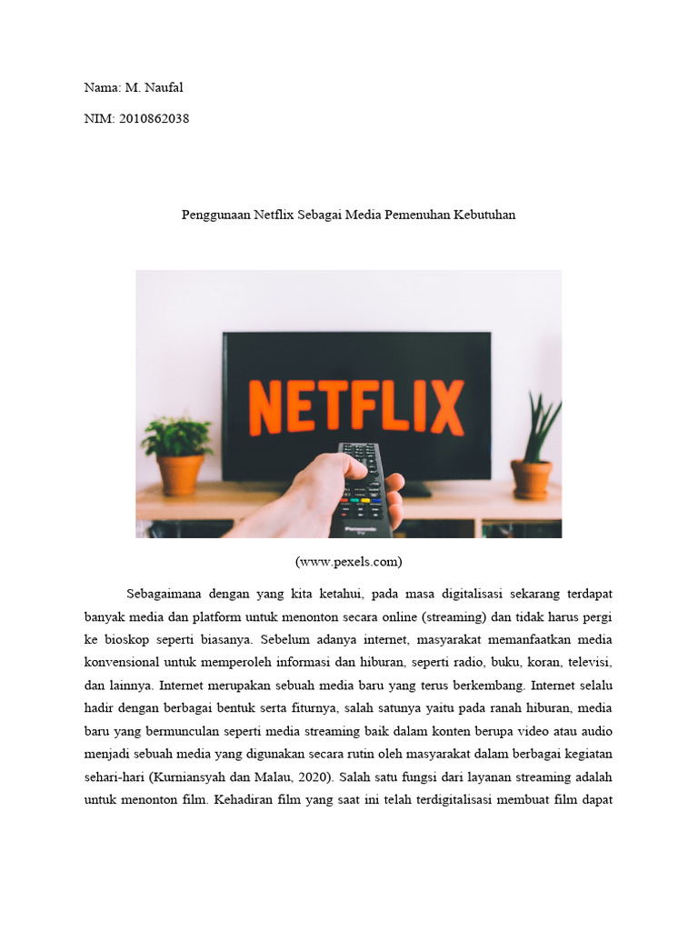 Netflix | PDF | Politik | Ilmu Sosial