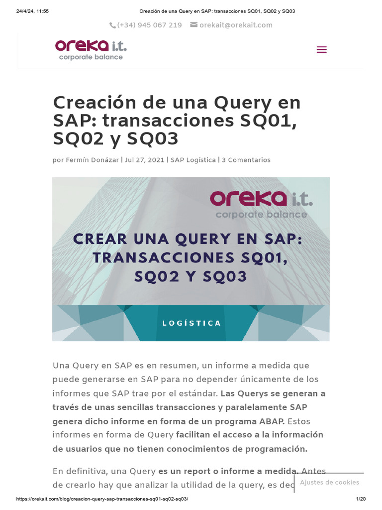 QUE ES UNA QUERY EN SAP visual data 4
