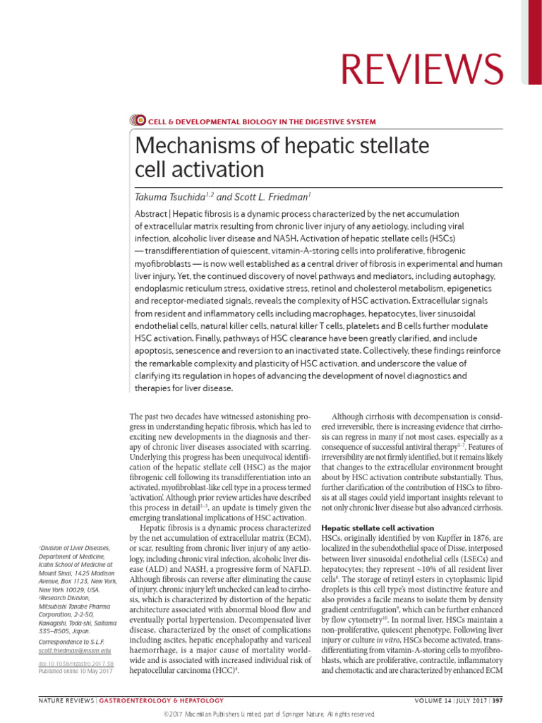 Mechanisms of Hepatic Stellate Cell Activation Review 2017 | PDF ...