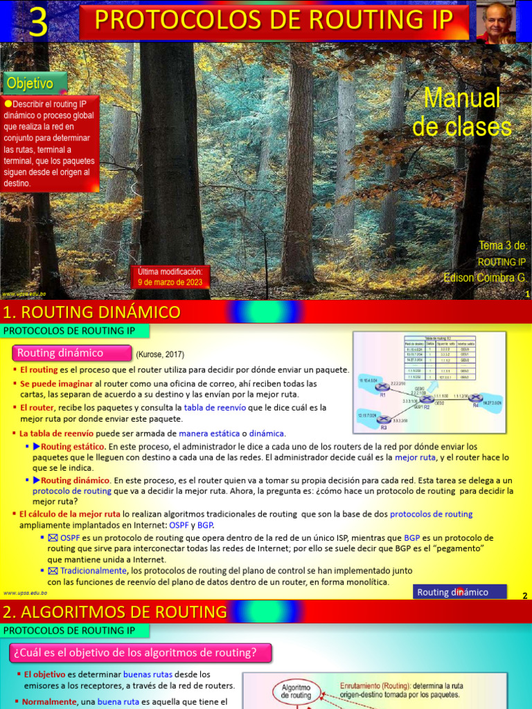 Protocolos de Routing IP: OSPF y BGP | PDF | Enrutador (Computación ...