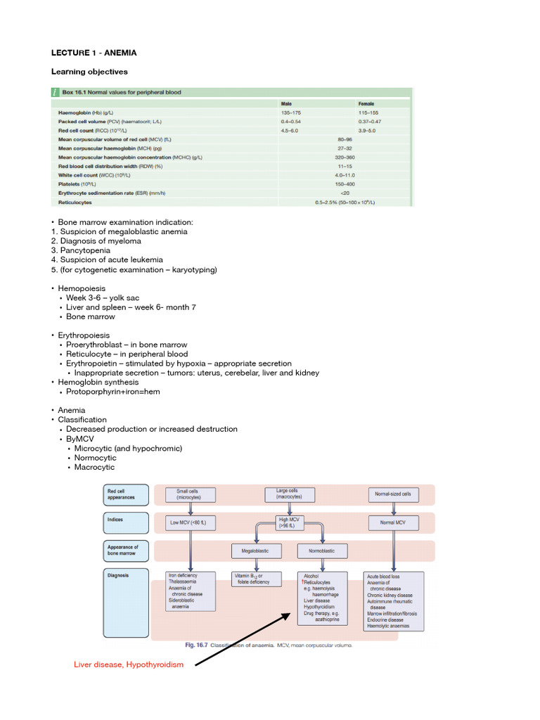 Anemia: Causes, Diagnosis, and Treatment | PDF | Anemia | Lymphoma