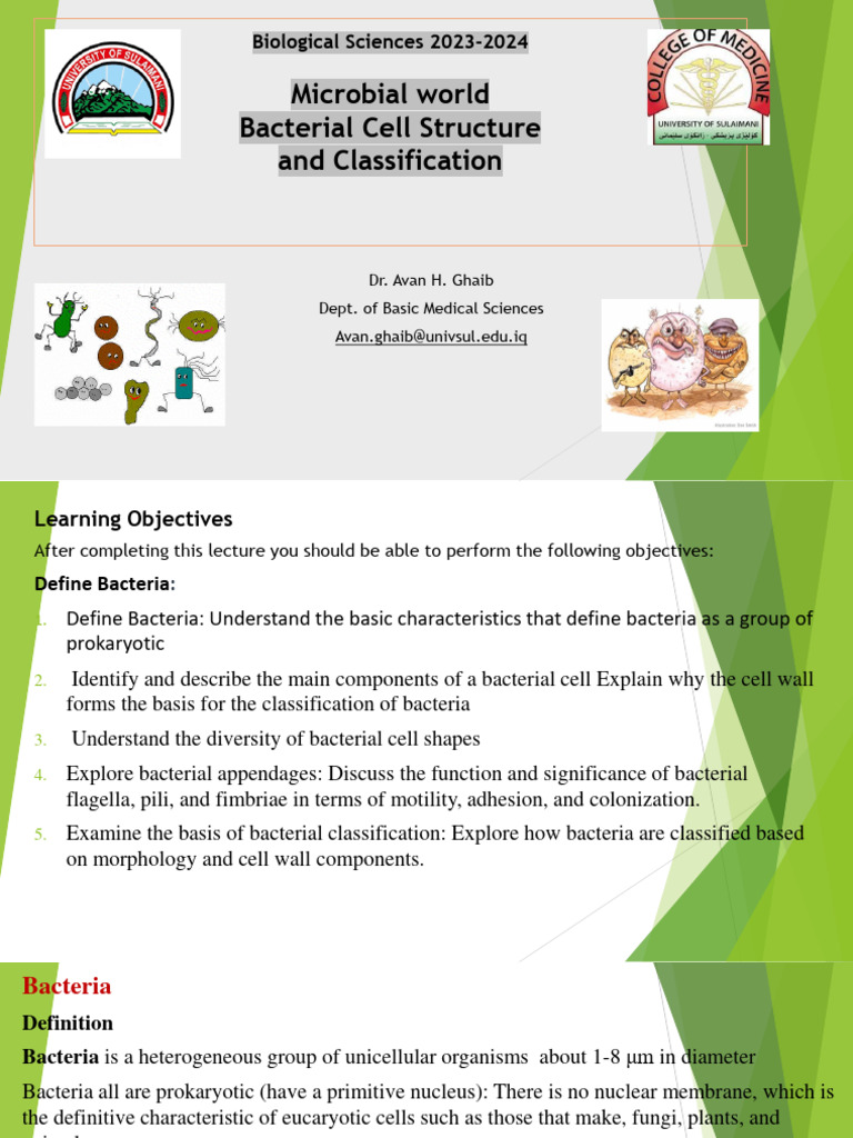 Bacterial Cell Structure and Classification | PDF | Bacteria | Cell ...