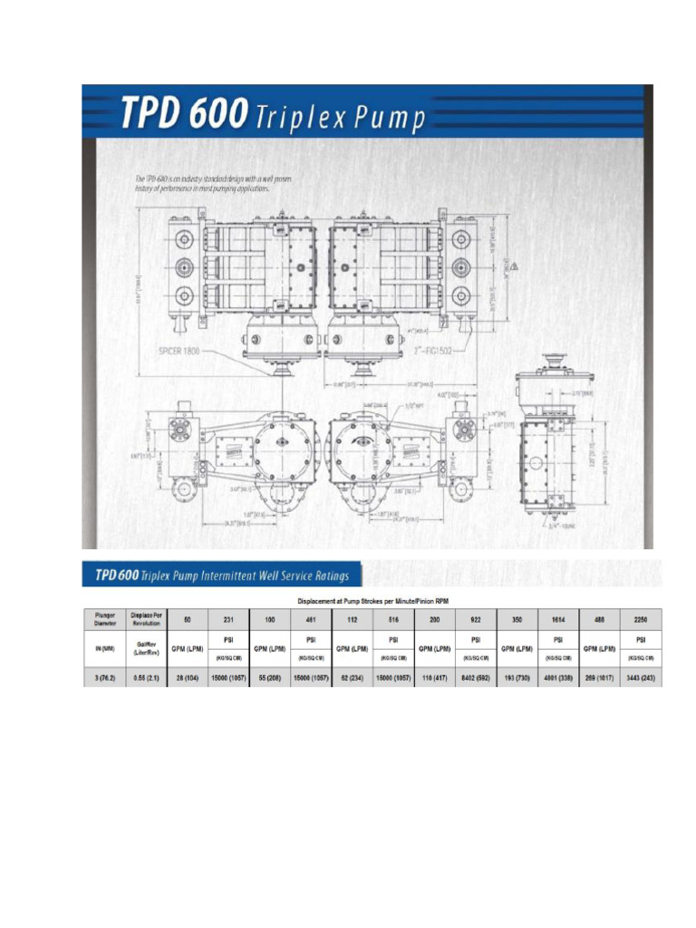 Triplex Pump TPD 600 3in | PDF