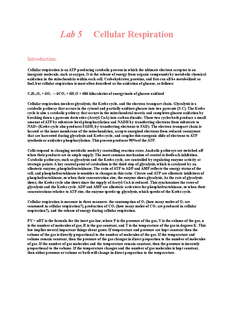 AP Biology Lab Five Cell Respiration PDF Adenosine Triphosphate Citric Acid Cycle