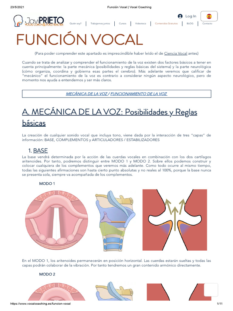 Mecánica y Función de la Voz | PDF | Laringe | Anatomía humana