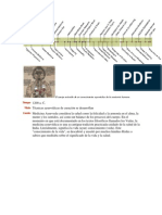 El cuerpo extraído de un conocimiento ayurvédico de la anatomía humana