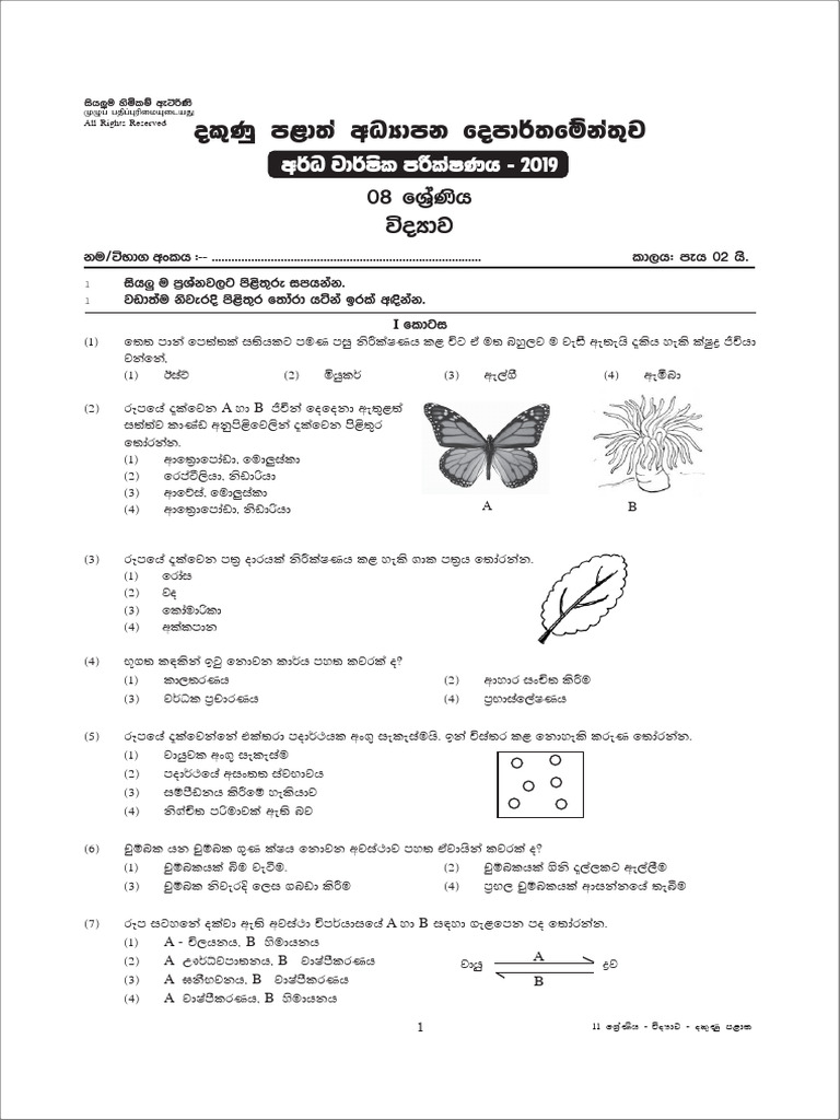 Grade 08 Science 2nd Term Test Paper With Answers 2019 Sinhala Medium