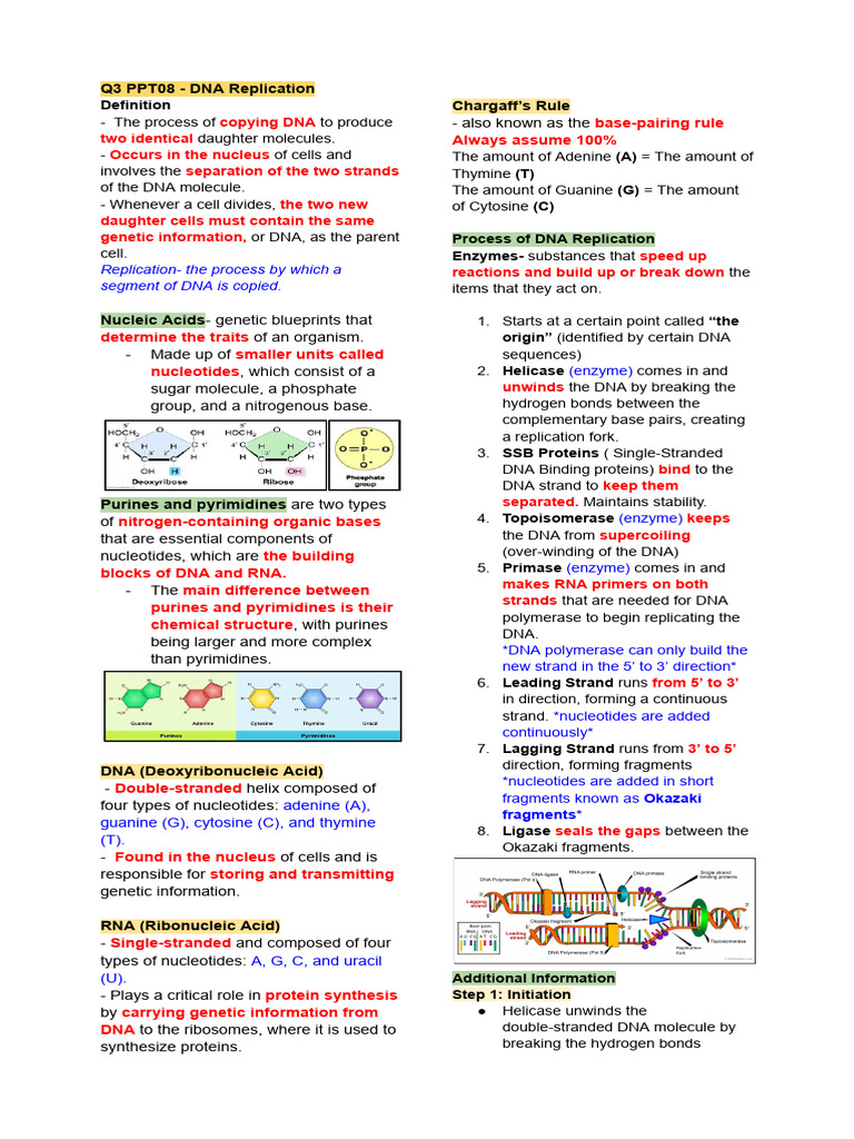 Unit 2 4 Biology Reviewer | PDF | Translation (Biology) | Messenger Rna