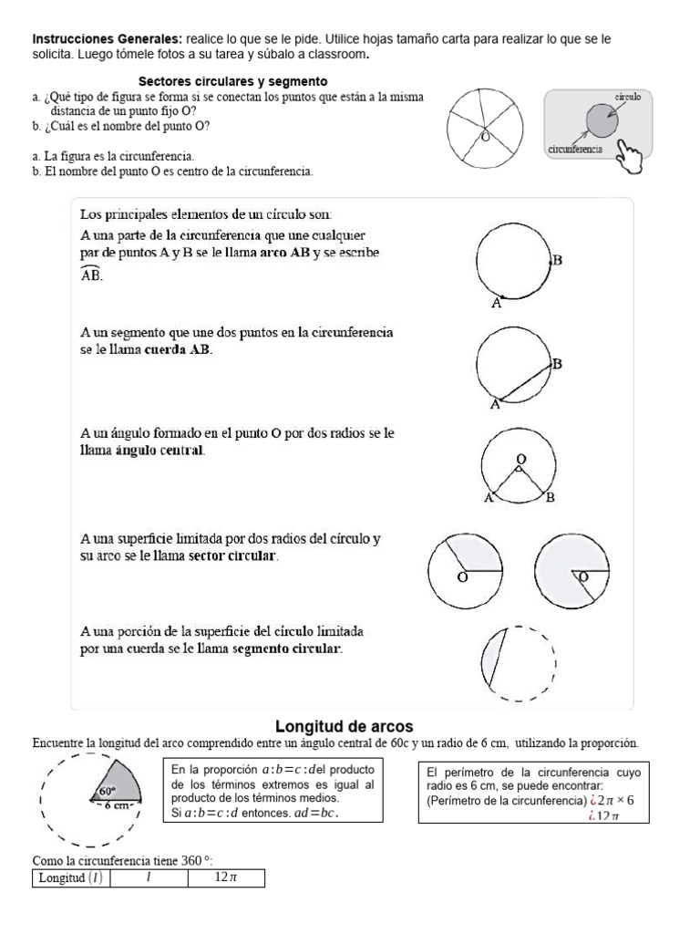 HOJA DE TRABAJO 16 MATE BACHILLER | PDF | Pi | Curva