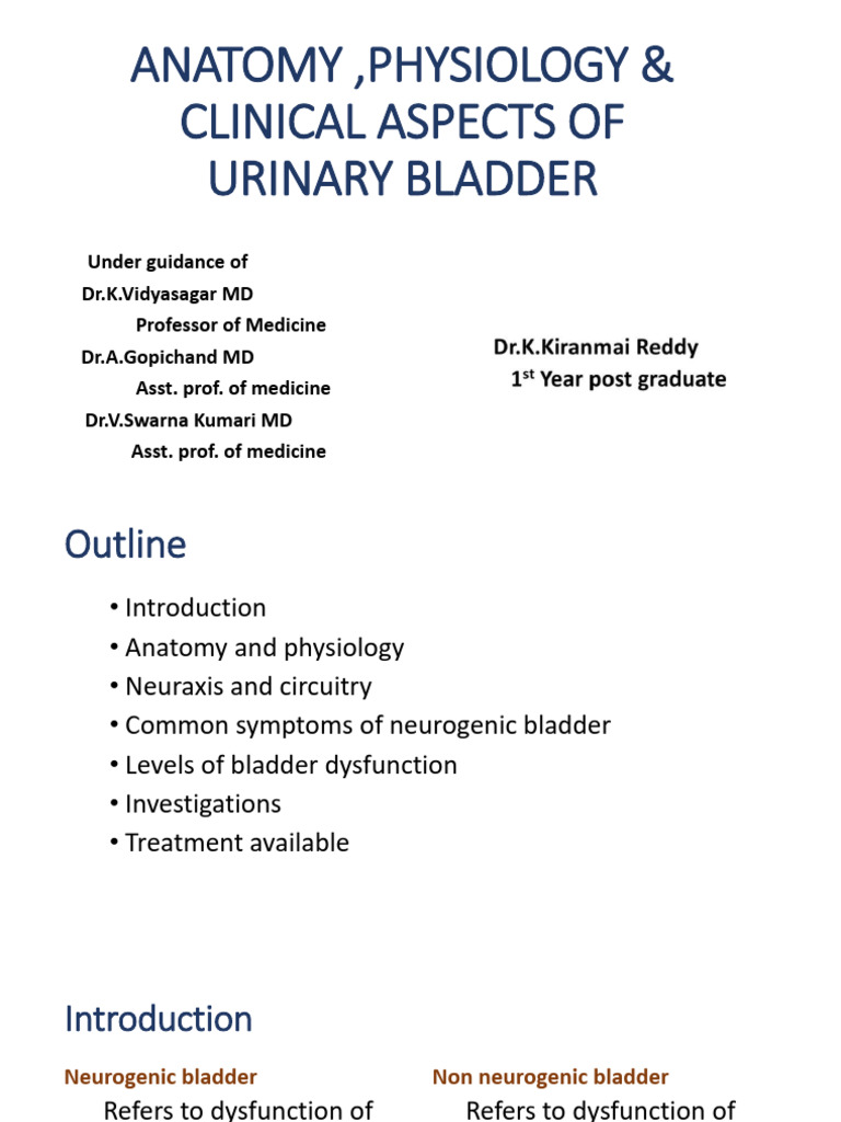 Urinary Bladder | PDF | Urinary Incontinence | Urination