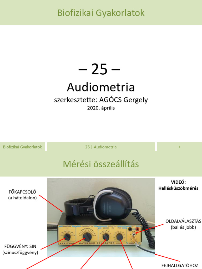 BifiGyak 25 Audio HU | PDF